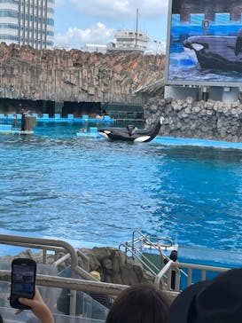 名古屋港水族館に投稿された画像（2023/9/2）