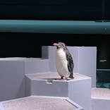 AOAO SAPPOROに投稿された画像（2023/9/2）