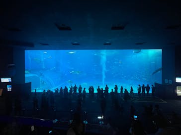 沖縄美ら海水族館に投稿された画像（2023/9/2）