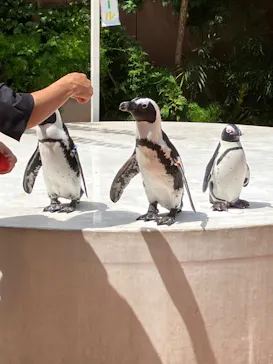 マクセル アクアパーク品川に投稿された画像（2023/9/2）