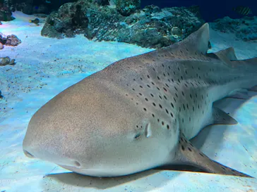 マクセル アクアパーク品川に投稿された画像（2023/9/2）