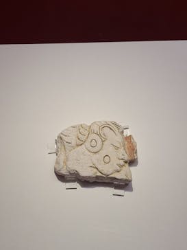 特別展「古代メキシコーマヤ、アステカ、テオティワカン」に投稿された画像（2023/9/2）