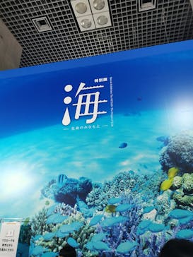特別展「海　―生命のみなもと―」（国立科学博物館）に投稿された画像（2023/9/2）
