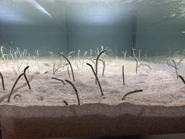 AOAO SAPPOROに投稿された画像（2023/9/2）