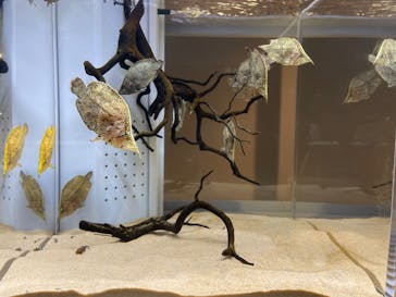 AOAO SAPPOROに投稿された画像（2023/9/2）