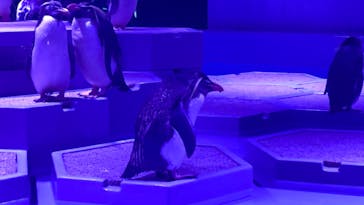 AOAO SAPPOROに投稿された画像（2023/9/2）