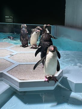 AOAO SAPPOROに投稿された画像（2023/9/2）