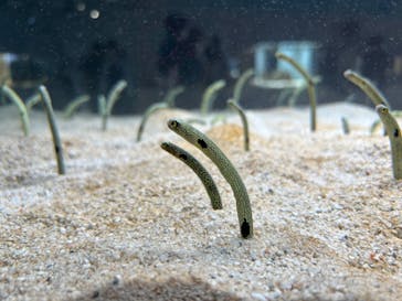 AOAO SAPPOROに投稿された画像（2023/9/2）