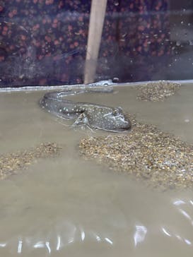 AOAO SAPPOROに投稿された画像（2023/9/2）