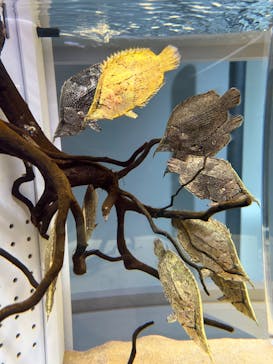 AOAO SAPPOROに投稿された画像（2023/9/2）