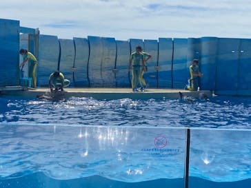 湘南モノレール大船駅に投稿された画像（2023/9/2）