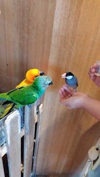 Moff animal cafe 小田原ダイナシティ店に投稿された画像（2023/9/2）