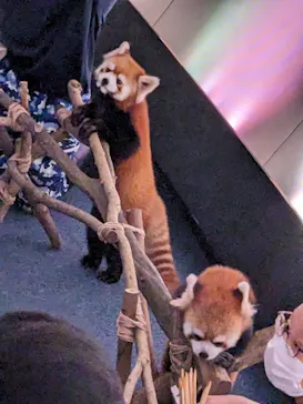 横浜・八景島シーパラダイスに投稿された画像（2023/9/2）