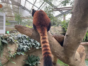 神戸どうぶつ王国に投稿された画像（2023/9/2）