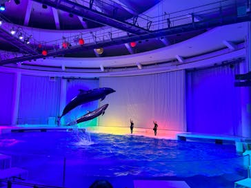 アクアワールド茨城県大洗水族館に投稿された画像（2023/9/2）