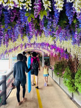 東京サマーランドに投稿された画像（2023/9/2）