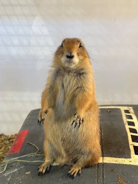 アニタッチみなとみらいに投稿された画像（2023/9/2）