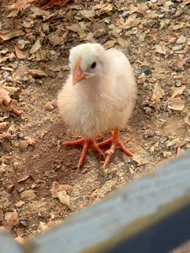 アニタッチみなとみらいに投稿された画像（2023/9/2）