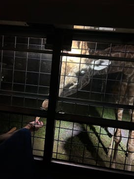 那須サファリパークに投稿された画像（2023/9/2）