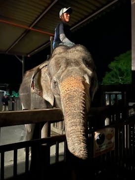 那須サファリパークに投稿された画像（2023/9/2）