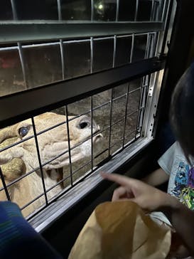 那須サファリパークに投稿された画像（2023/9/2）