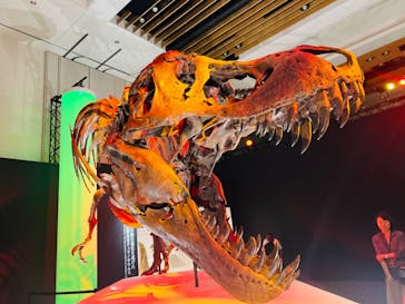 DinoScience 恐竜科学博 2023@TOKYO MIDTOWNに投稿された画像（2023/9/2）