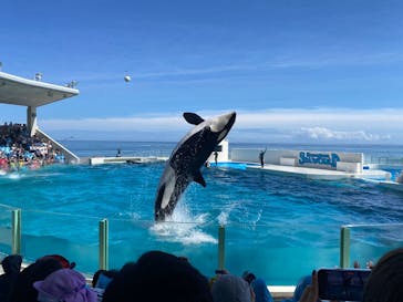 鴨川シーワールドに投稿された画像（2023/9/2）