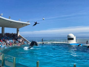 鴨川シーワールドに投稿された画像（2023/9/2）