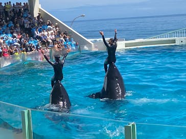 鴨川シーワールドに投稿された画像（2023/9/2）