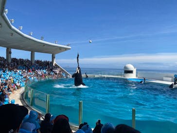 鴨川シーワールドに投稿された画像（2023/9/2）