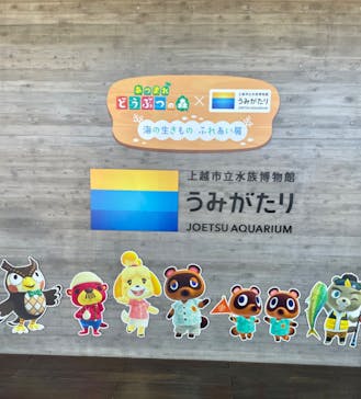上越市立水族博物館 うみがたりに投稿された画像（2023/9/2）