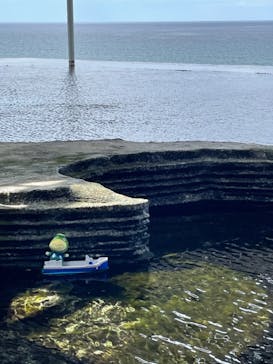 上越市立水族博物館 うみがたりに投稿された画像（2023/9/2）