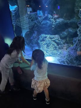 サンシャイン水族館に投稿された画像（2023/9/2）