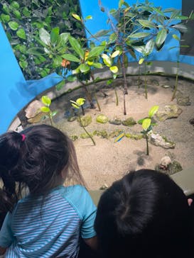 サンシャイン水族館に投稿された画像（2023/9/2）