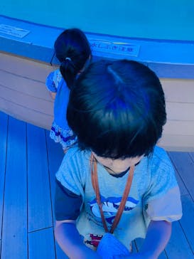 サンシャイン水族館に投稿された画像（2023/9/2）