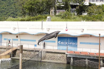 伊豆・三津シーパラダイスに投稿された画像（2023/9/2）