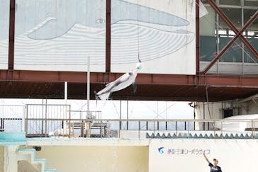 伊豆・三津シーパラダイスに投稿された画像（2023/9/2）