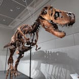 大阪市立自然史博物館に投稿された画像（2023/9/3）