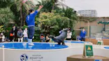 サンシャイン水族館に投稿された画像（2023/9/3）