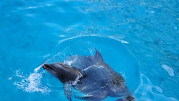 名古屋港水族館に投稿された画像（2023/9/2）