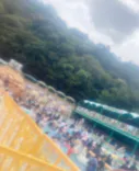 日本モンキーパークに投稿された画像（2023/9/3）