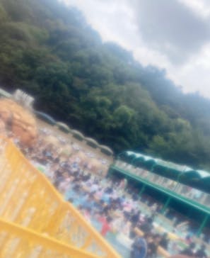 日本モンキーパークに投稿された画像（2023/9/3）