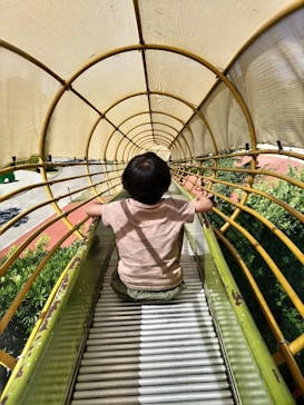 安城産業文化公園デンパークに投稿された画像（2023/9/3）