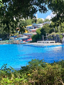 西武園ゆうえんちに投稿された画像（2023/9/3）