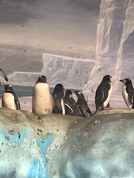 名古屋港水族館に投稿された画像（2023/9/3）