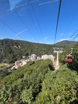 のぼりべつクマ牧場に投稿された画像（2023/9/3）