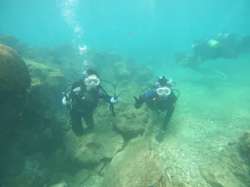 武藤潜水に投稿された画像（2023/9/3）