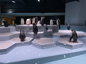 AOAO SAPPOROに投稿された画像（2023/9/3）