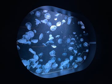 AOAO SAPPOROに投稿された画像（2023/9/3）