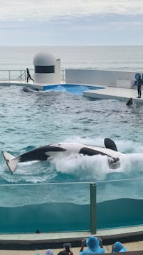 鴨川シーワールドに投稿された画像（2023/9/3）